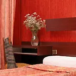 Camelia International